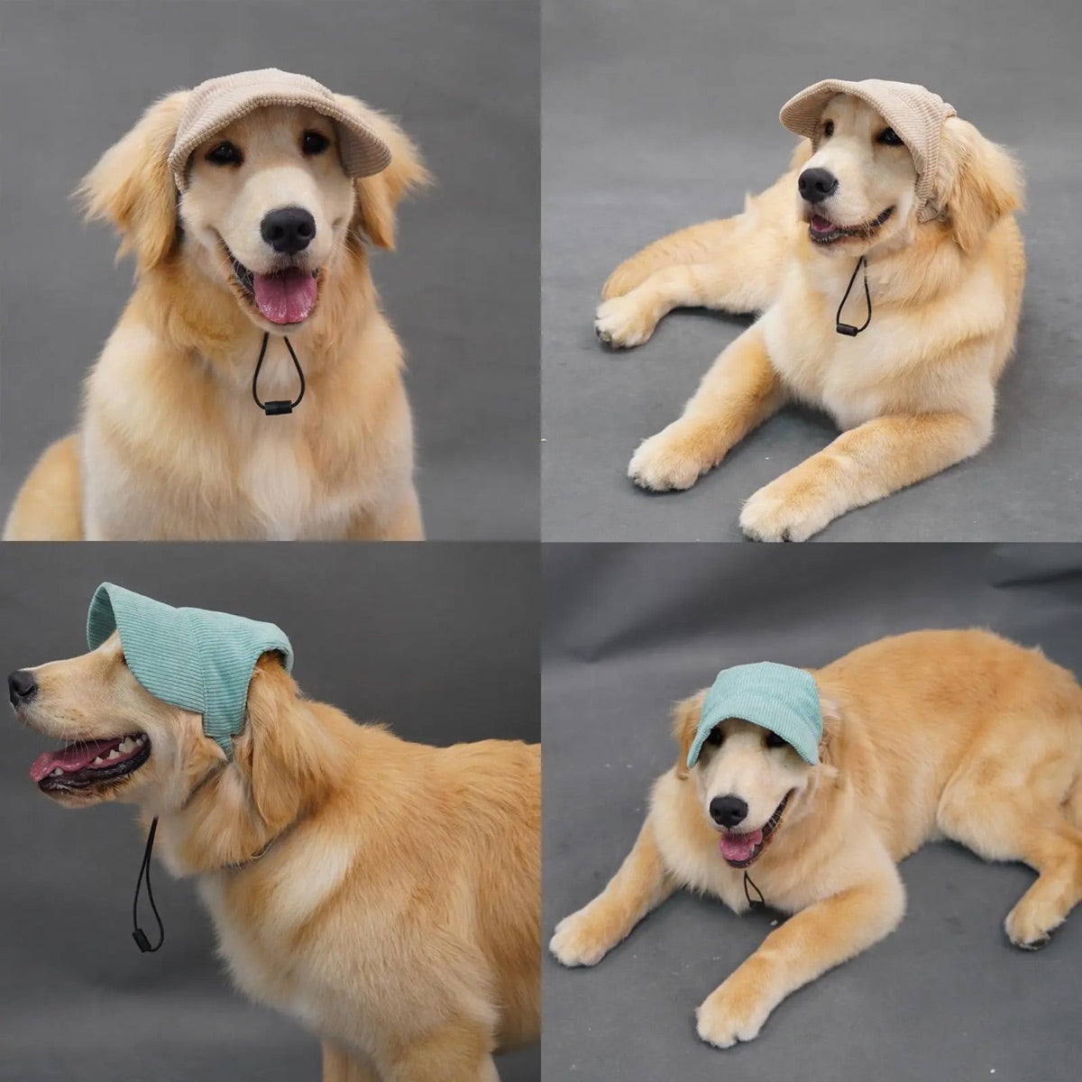 Pet Baseball Cap, Outdoor Sun Protection Pet Hat, Breathable Pet Headwear for Small Medium Large Dogs & Cats, Pet Supplies — image 5